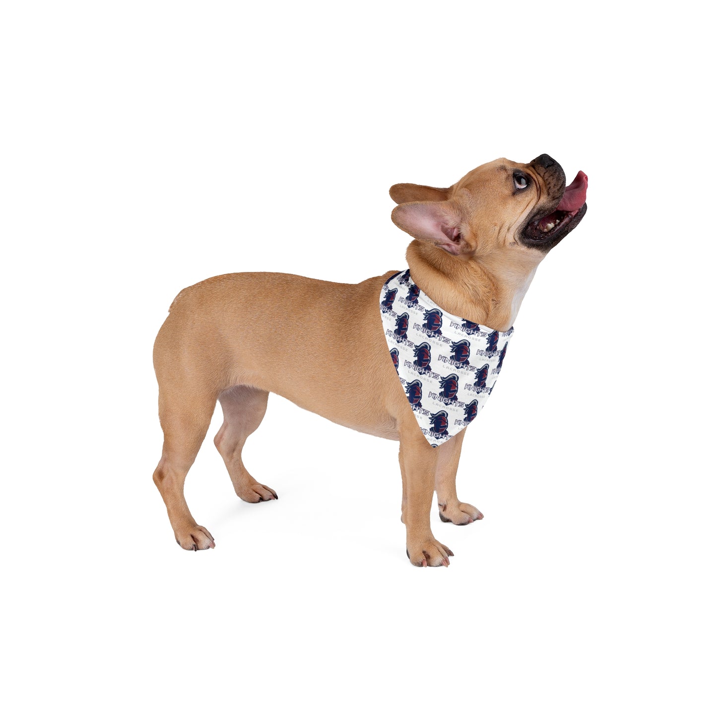 Knights Pet Bandana
